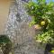 Villa Carly Taormina apartment with private pool - 特拉皮泰罗