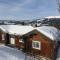 ReveEnka - cabin in Trysil with Jacuzzi for rent - Trysil