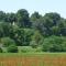 Property with panoramic views - Cabrières-dʼAvignon
