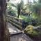Rustic Hut Bush Retreat