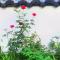 Tujia folk houses