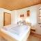 Apartment in Saalfelden am Steinernen Meer - 萨菲登安斯泰内嫩米尔