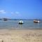 Dor on the beach