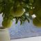 Residence Hotel Baia Portinenti