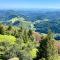 Ferienwohnung zur Bierliebe - Mit toller Aussicht im Herzen des Schwarzwaldes - Hornberg