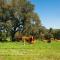 Farmhouse in Montemor near Forest and Lake