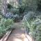 Pecan Tree Studio 1 with Forest View - ستيلينبوش