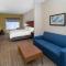 Holiday Inn Express Hotel & Suites Talladega, an IHG Hotel