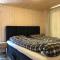 New large cabin Ski in out Sjusjøen & sauna