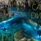 Tortuga Dafni Bay Villas Divers Paradise by "elite"