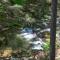 Arrowhead Falls