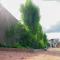 BlueGreens Accommodation