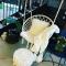 Private Papamoa Beach Paradise