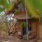 Leopard Safaris Yala