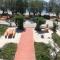 Zorbas