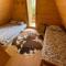 Mountain View Cottage