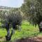 אחוזת היניבים Yaniv Estate