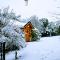 Blue Bird House