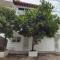 Studio Pulpito in the charming heart of downtown PV