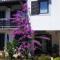 Apartments Barac