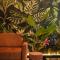 Jungle Apartments