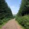Corrie Lodge, Glendevon - 格伦德文
