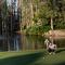 Saddlebrook Golf Resort & Spa Tampa North-Wesley Chapel - Wesley Chapel
