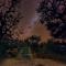 Semowi Lodge and Campsites - Mirapene
