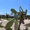 Verde Blu Vacanze B&B