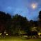 The Frogtown Inn
