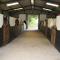 Muckross Riding Stables