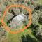 Jacuzi Cottage in the olive grove