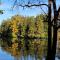 Cozy Quonset Hut On Maple Lake - Paw Paw