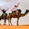 desert camp sahara luxury - Merzouga