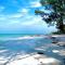 Welcome To The Paradise