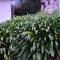A1 Motels and Apartments Port Fairy