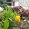 Baytor Guest House