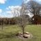 Rowan Eco Cabin - Sleeps 2 - Valley View