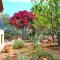Pavlos cottage with beach view