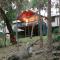 Treehouse-elevated nature setting, kids TV room