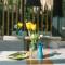 Ibrahim Boutique Hotel