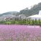 Intercontinental Alpensia Pyeongchang Resort by IHG - Pyeongchang