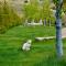 Docs Thermal Hotel Wellness & Detox Spa