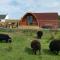 Achmeney Glamping larger than Average pod