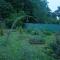 Nodaras garden