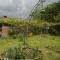 Nodaras garden