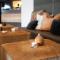 Lindesnes Havhotel