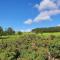 Beautiful Borders Cabin - Jedburgh