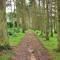 Beautiful Borders Cabin - Jedburgh