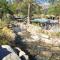 Resort at Squaw Creeks 317 & 319